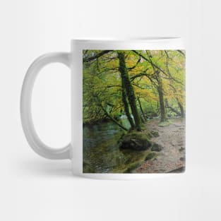 Autumn Golitha falls walk Mug